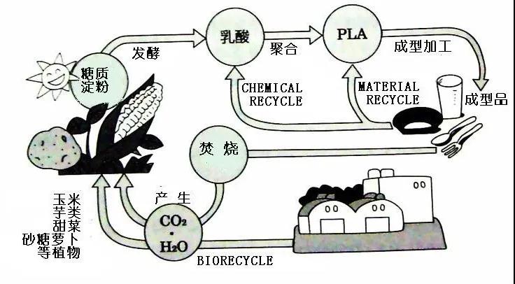 可生物降解環(huán)保塑料可以回收再利用嗎？(圖4)