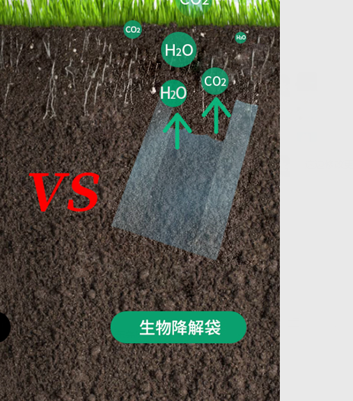 可生物降解環(huán)保塑料可以回收再利用嗎？(圖1)