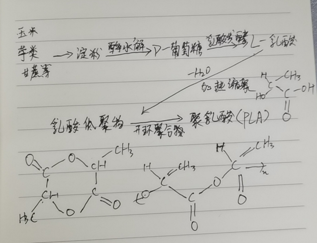 生物降解袋中的PLA是如何制得的？(圖2)
